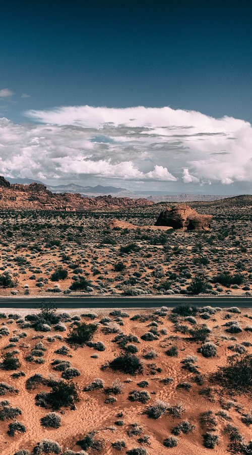 Valley of Fire, Drive #2 by Heike Bohnstengel