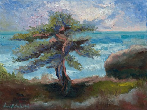 Crimean juniper ■ Black sea view ■ from Ukraine with love by Anna Miklashevich