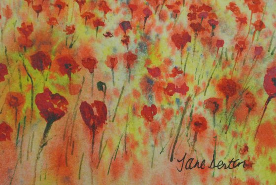 Poppy field at Sunrise - Original Watercolour