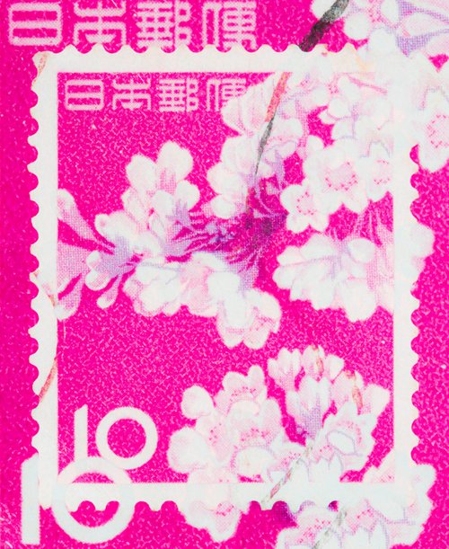 Japanese Cherry Blossom 1961 - Stamp Collection Art by Deborah Pendell