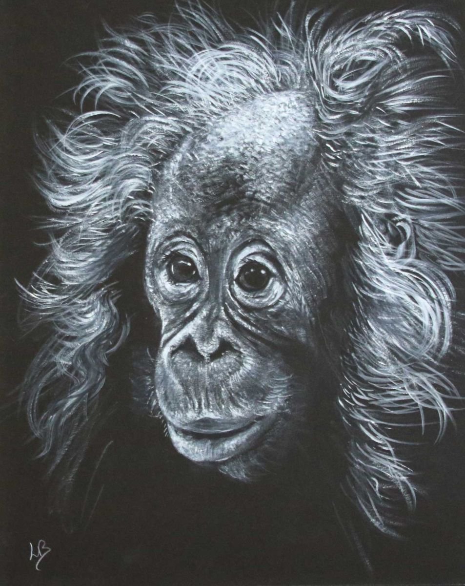 Bad Hair Day   (Orangutan) by Lauren Bissell