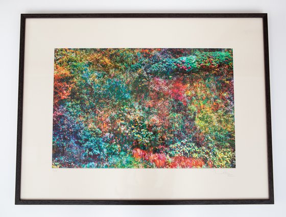 Wall of Nature XXIX (Framed)