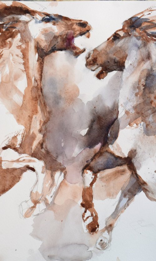 WIld horses by Goran Žigolić Watercolors