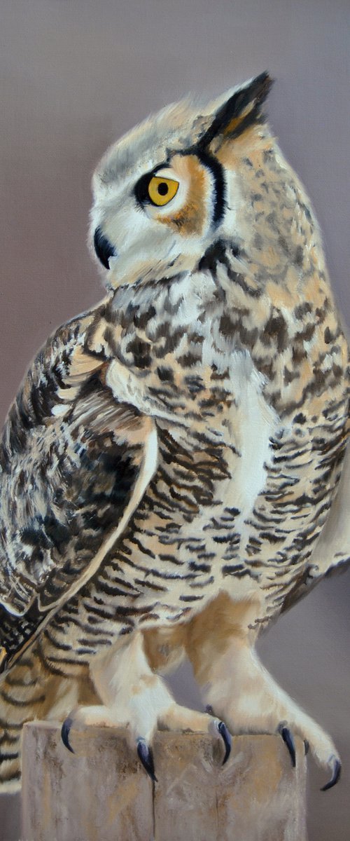 Owl by Simona Tsvetkova