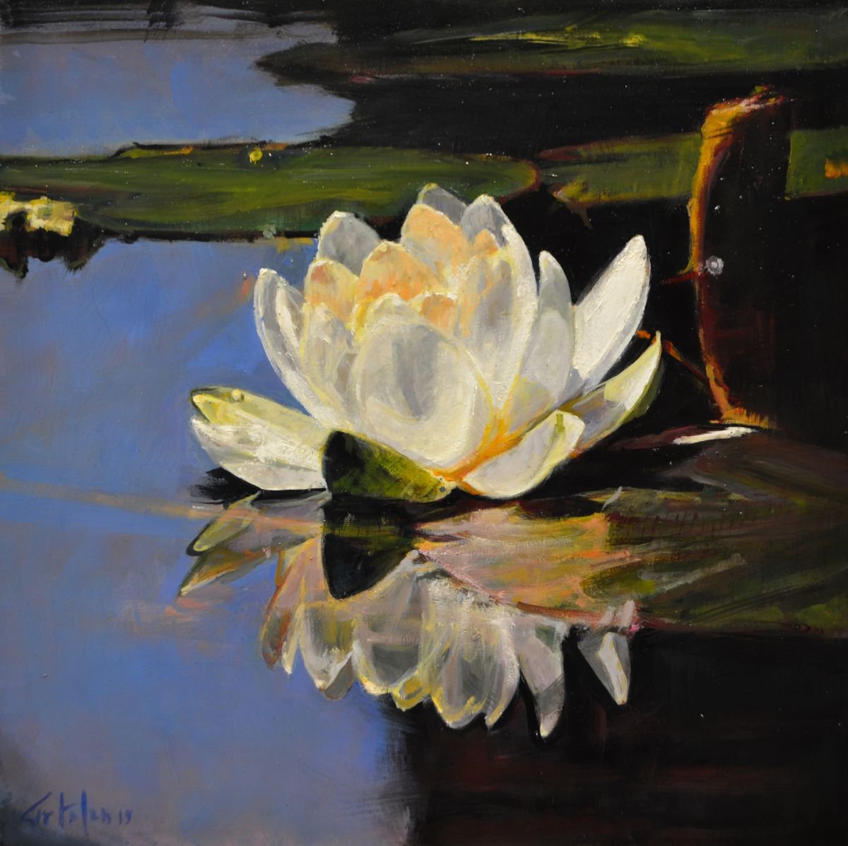 Photorealistic Oil Painting , Waterlilies By Marco Ortolan, 12 X 12, Artwork For Sale On Artfinder