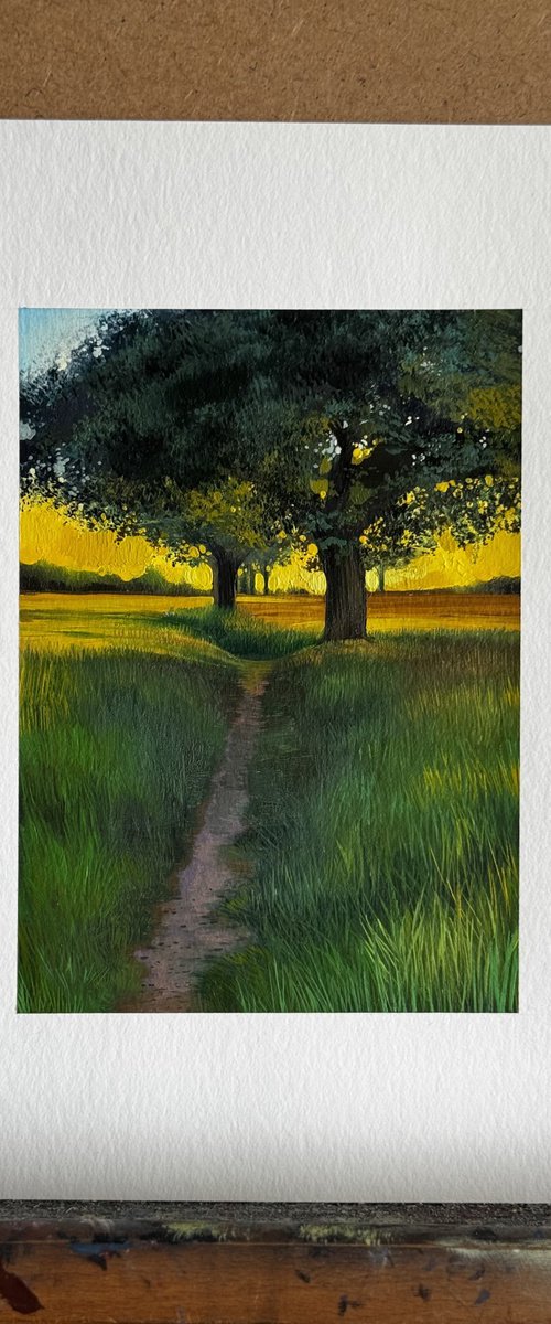 Sunset Landscape by Anastasia Parfilo