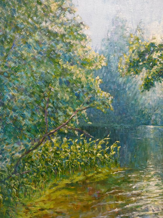 Where the Light settles