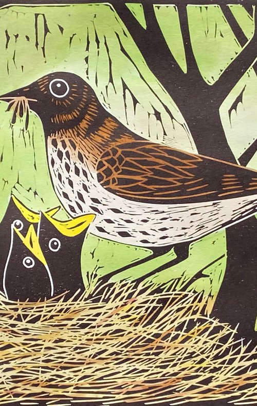 Nest of Thrushes. 22/100 by Jane Dignum