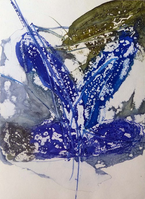 The Floral Abstract, 29x41 cm - ESA14 by Frederic Belaubre