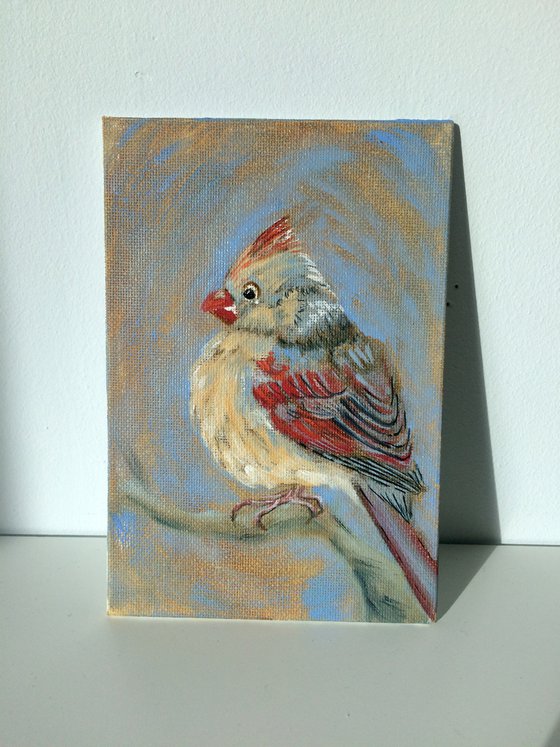 Bird cardinal small painting - Gift for bird lover