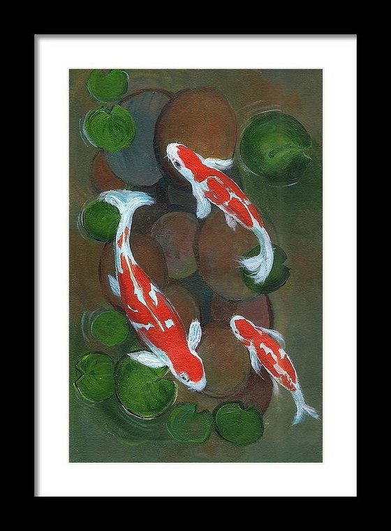 Koi fish in water lily pond