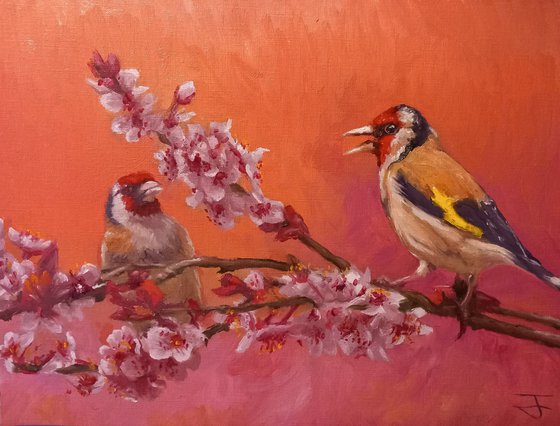 Conversations in the Blossom