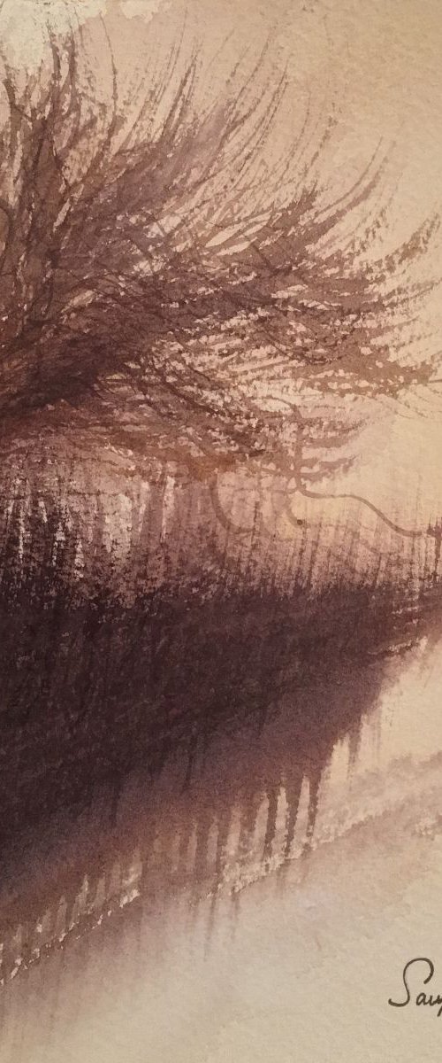 Along the lane by Samantha Adams