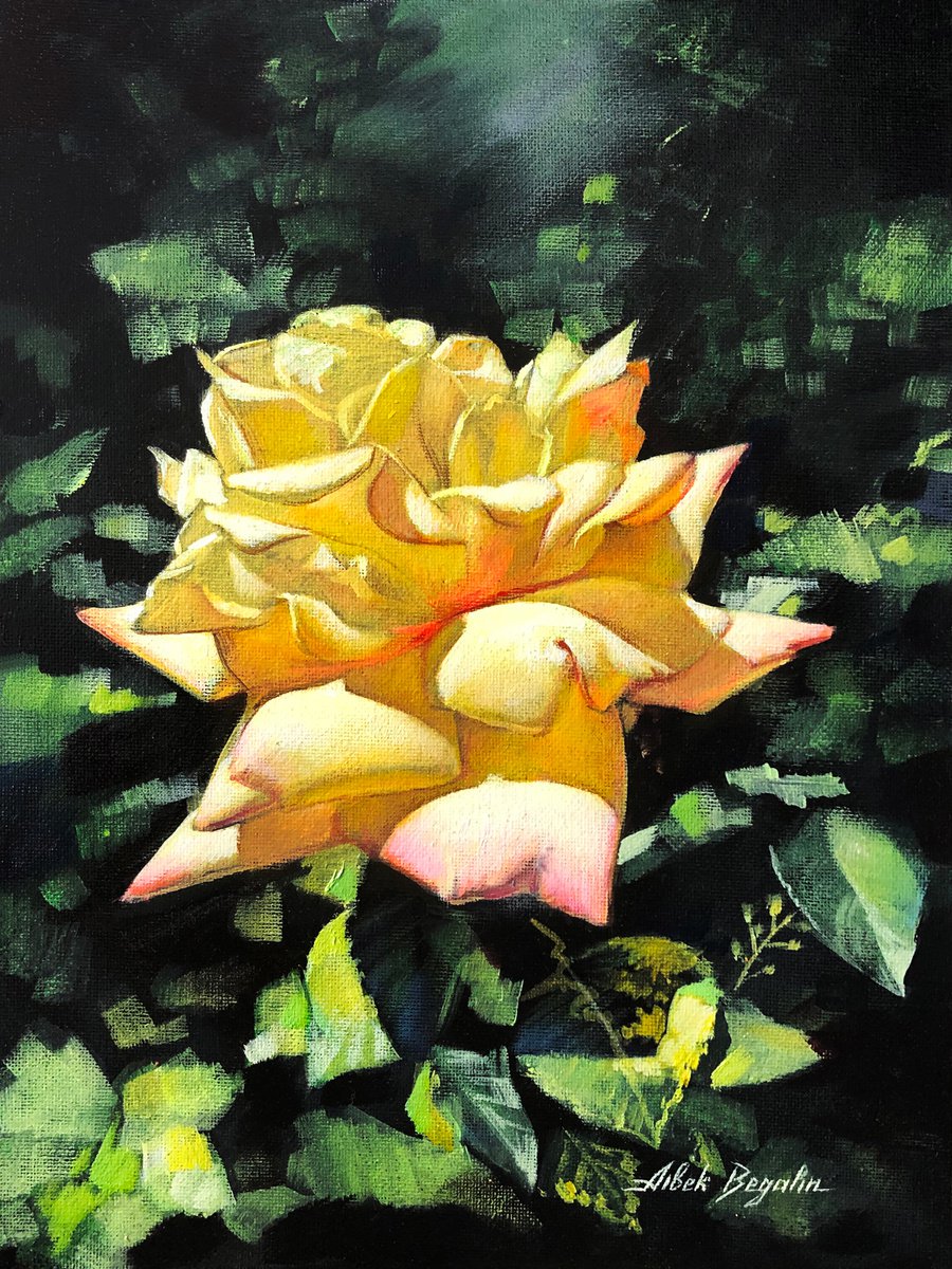 YELLOW ROSE by Aibek Begalin