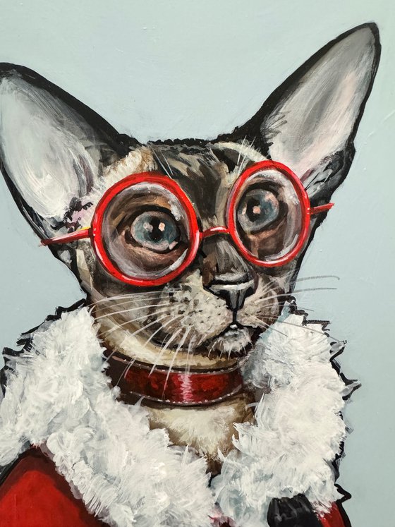 Nina the Siamese kitty