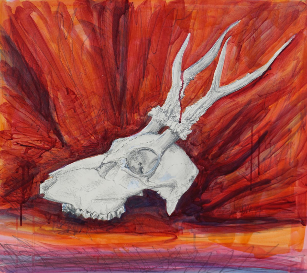 Skull against red by Megan Cheetham