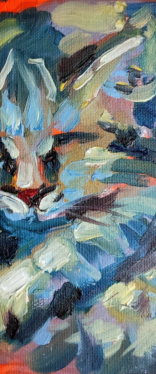 Cat is sleeping Original Oil Painting by Natalia Miasnikova
