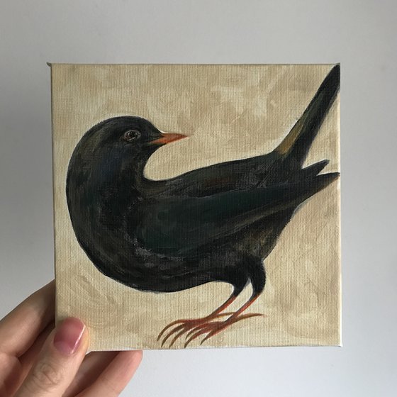 Blackbird