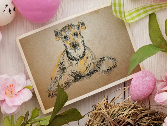 Wire Fox Terrier drawing