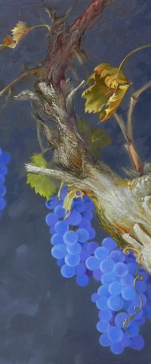 “The charm of the grapevine” by Tetiana Novikova