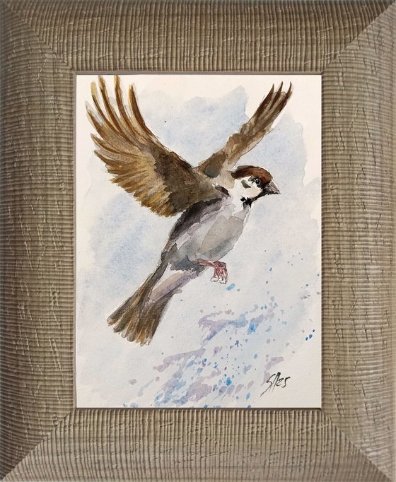 Sparrow VII