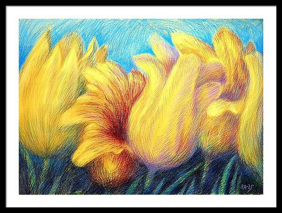 Tulips Yellow 4