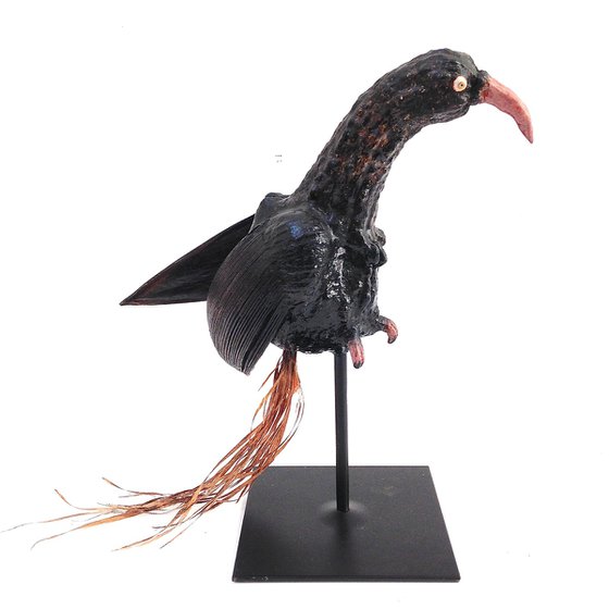 Black bird (Oiseau noir)