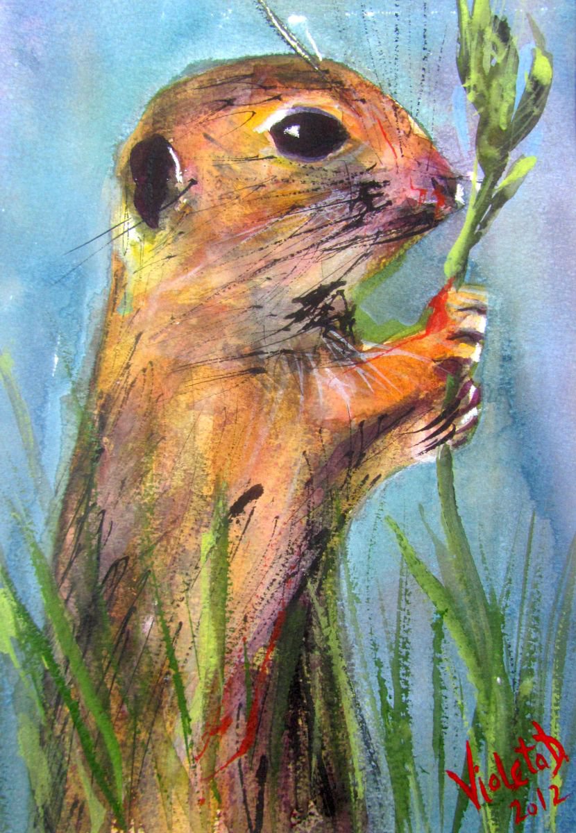 The Groundhog II (Marmota monax) by Violeta Damjanovic-Behrendt