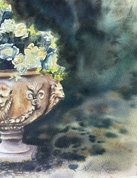 Roses in the shade