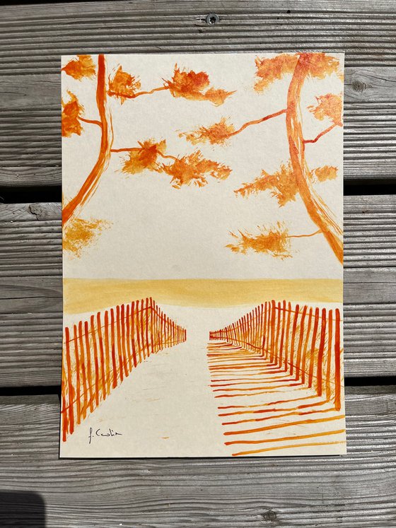 Sainte-Marine orange