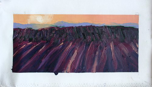 Lavender fields II.. / ORIGINAL OIL PAINTING by Salana Art Gallery