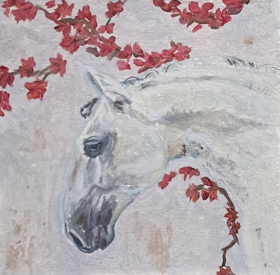caballo blanco