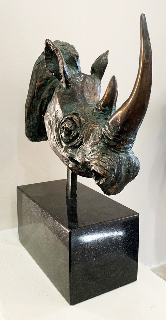 Rhino-head