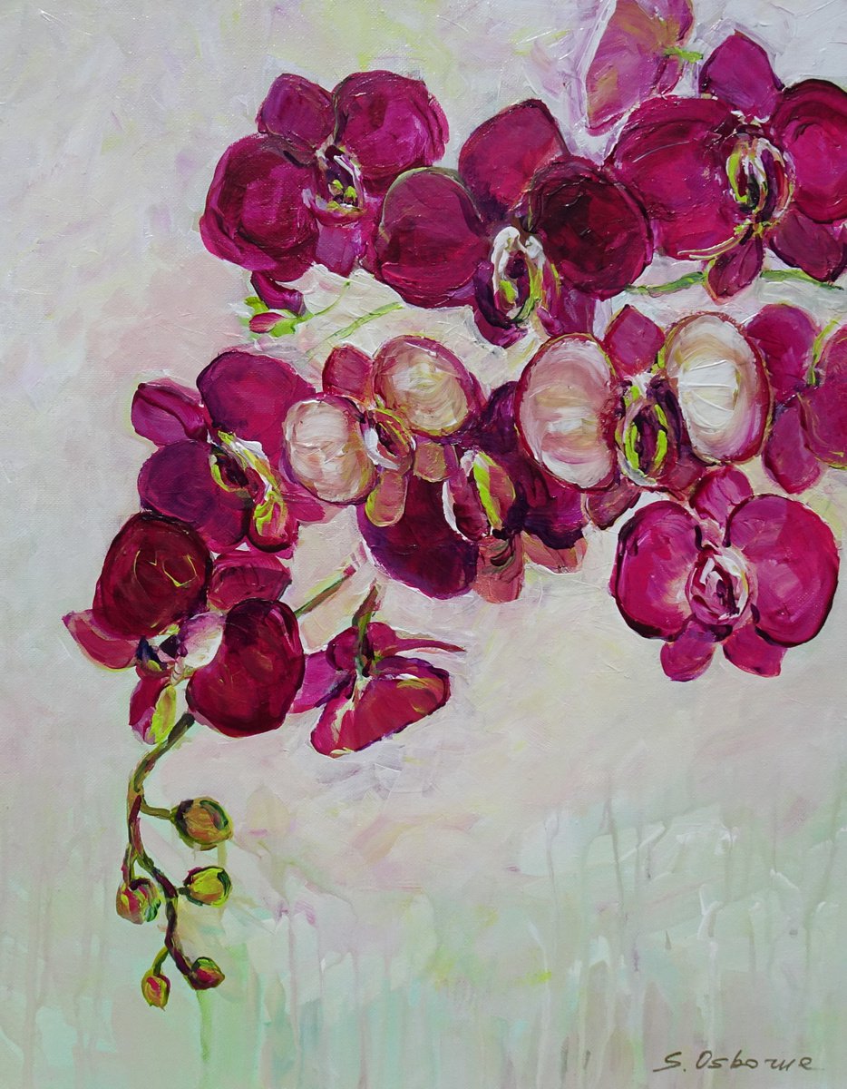 Pink Orchid by Sveta Osborne