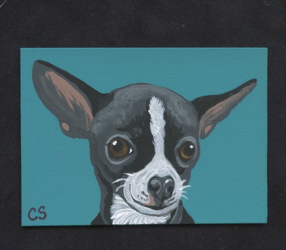 ACEO ATC Original Painting Chihuahua Pet Dog Art-Carla Smale