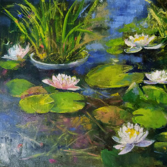 Water Lilies pond