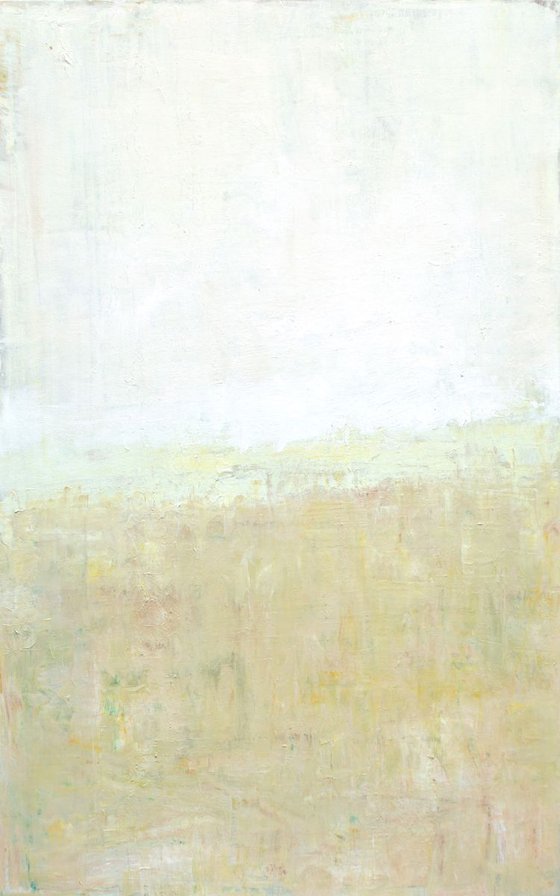 Soft Field 30x48 inches