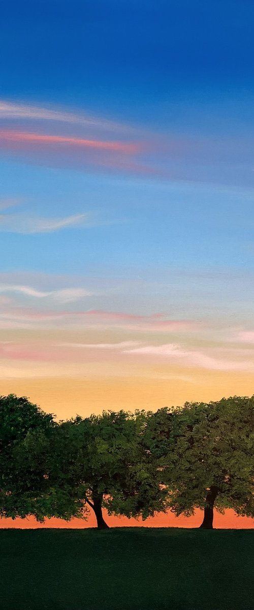 Waiting For The Stars by Victoria Obolensky