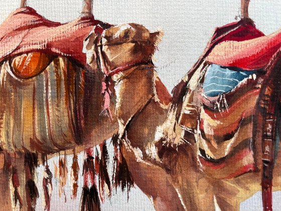 "Nomadic Spirit: Dromedaries of the Desert"