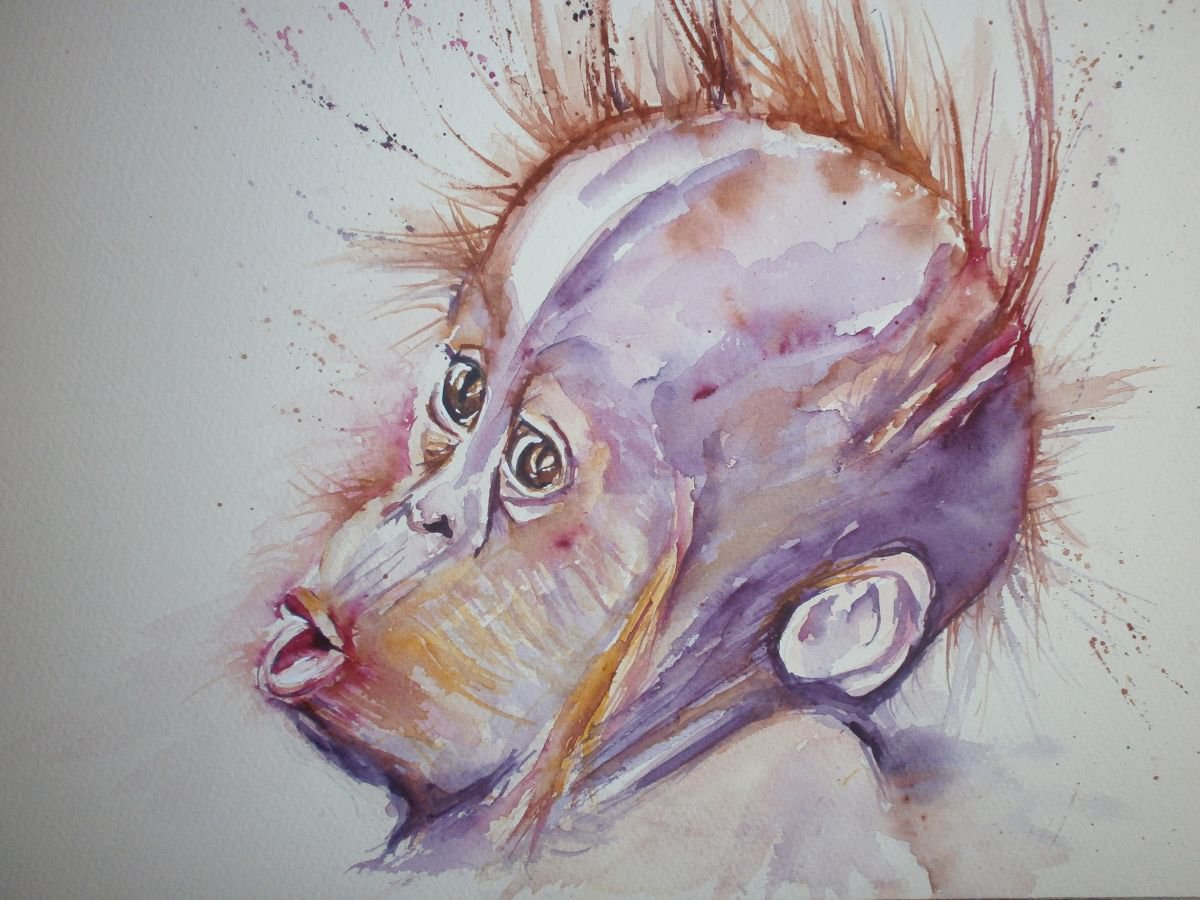 baby orangutang by Sue Green