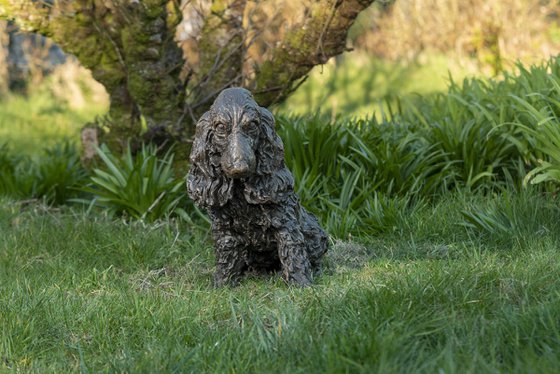 Sitting Cocker Spaniel BR