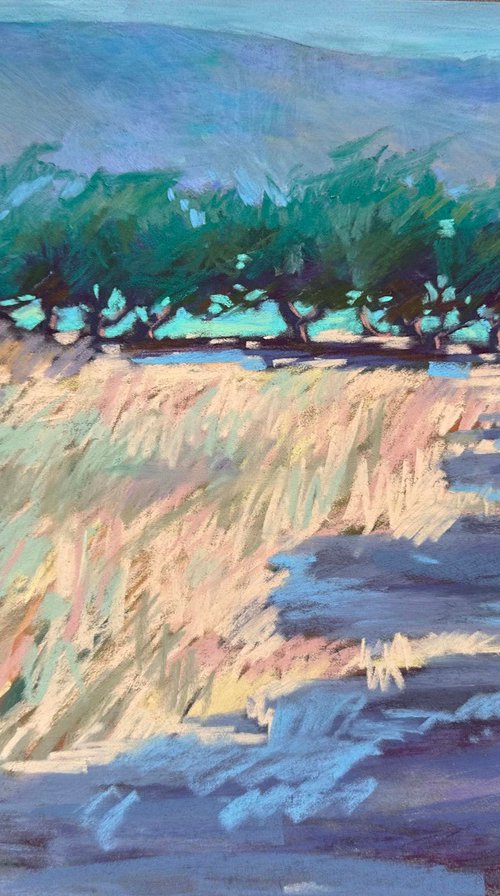 Olive trees by Anna Bogushevskaya