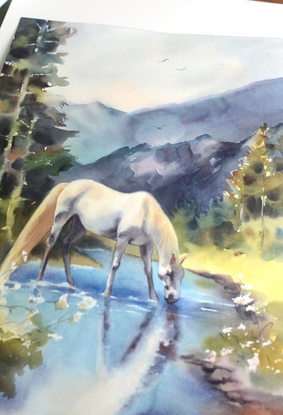 White Horse / Mountain Stream