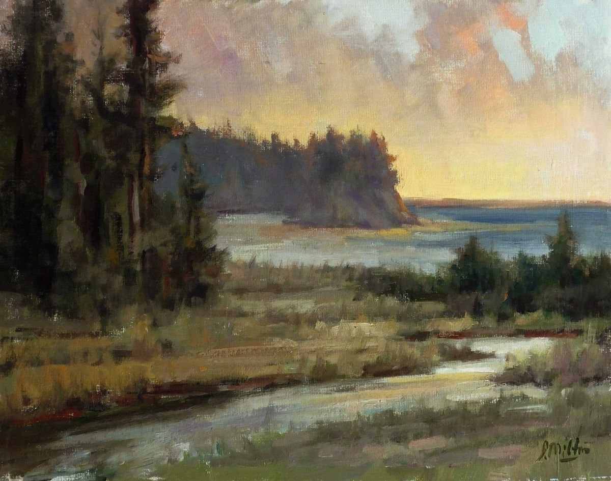 Salt Creek, Sunset By Irina Kirienko-Milton, 14 X 11, Artwork For Sale On Artfinder