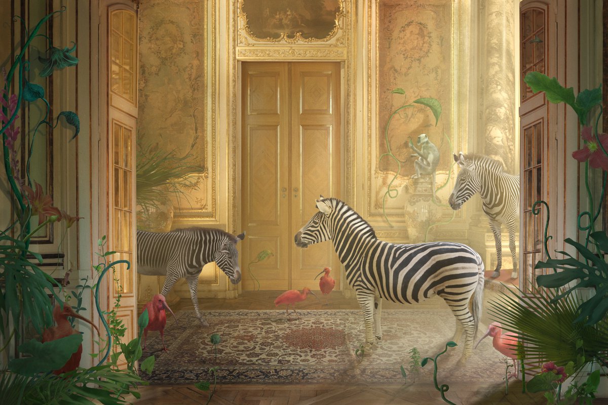 Surrealistic Animal Photograph By Nikolina Petolas, 35 X 24", Gold, Original Artwork