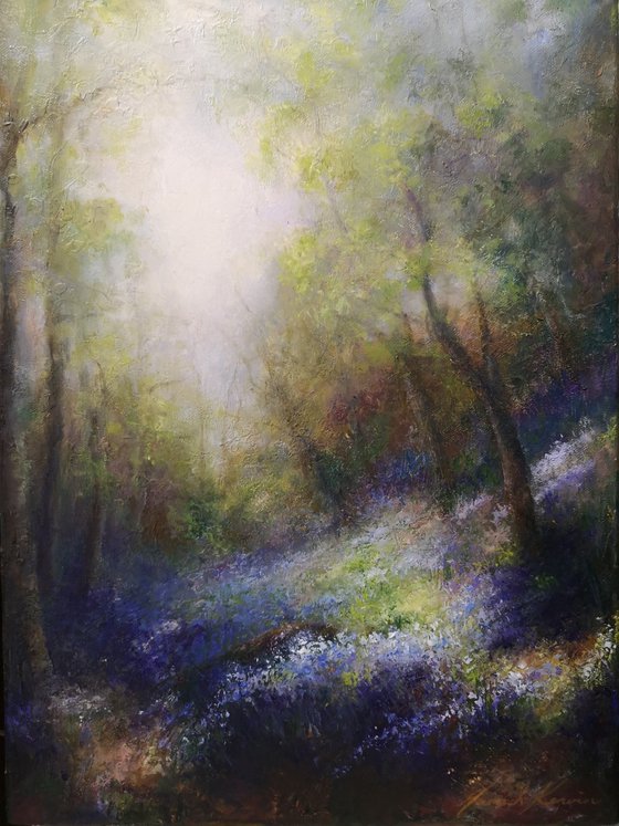 Softened  Light Through Leaves - Bluebells in Early Spring . Wade Wood Nr Wainstalls , Yorkshire
