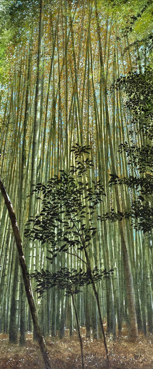 Bamboo Forest in Kyoto by Masato Watanabe