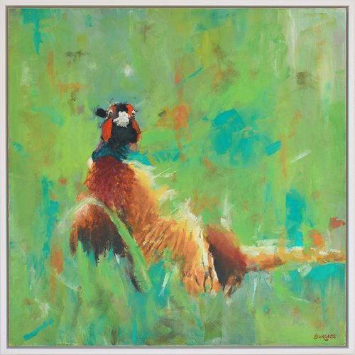 Pheasant - Wildlife by Shaun Burgess
