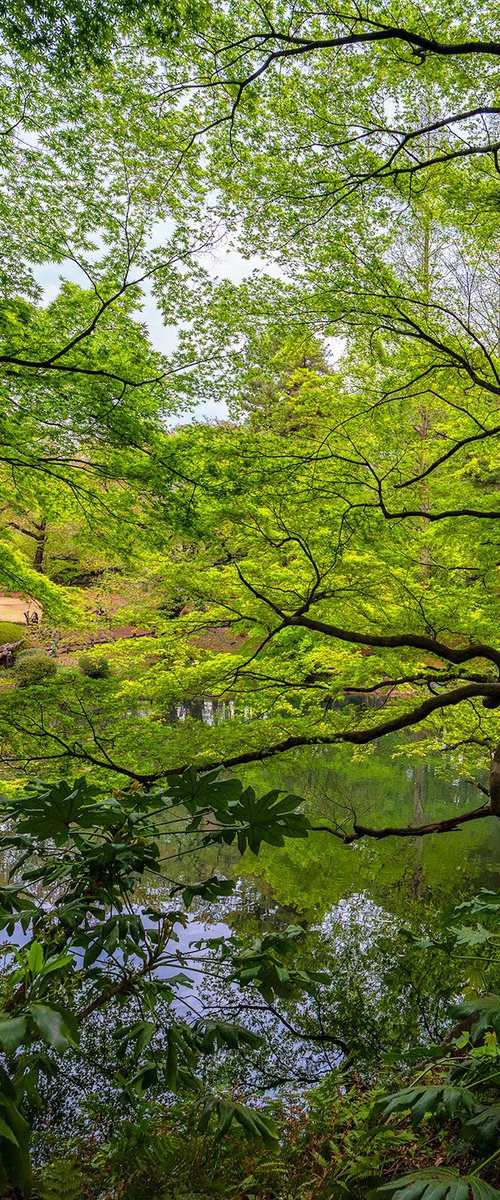 Nature's Brushwork by Nick Psomiadis