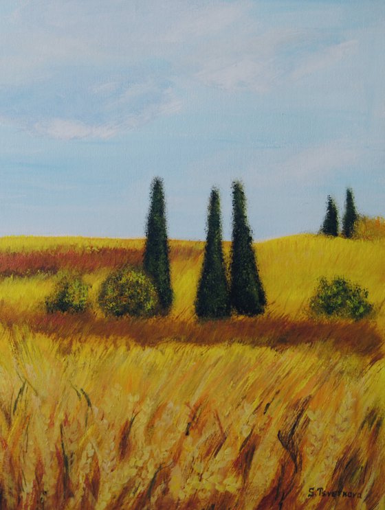 Fields
